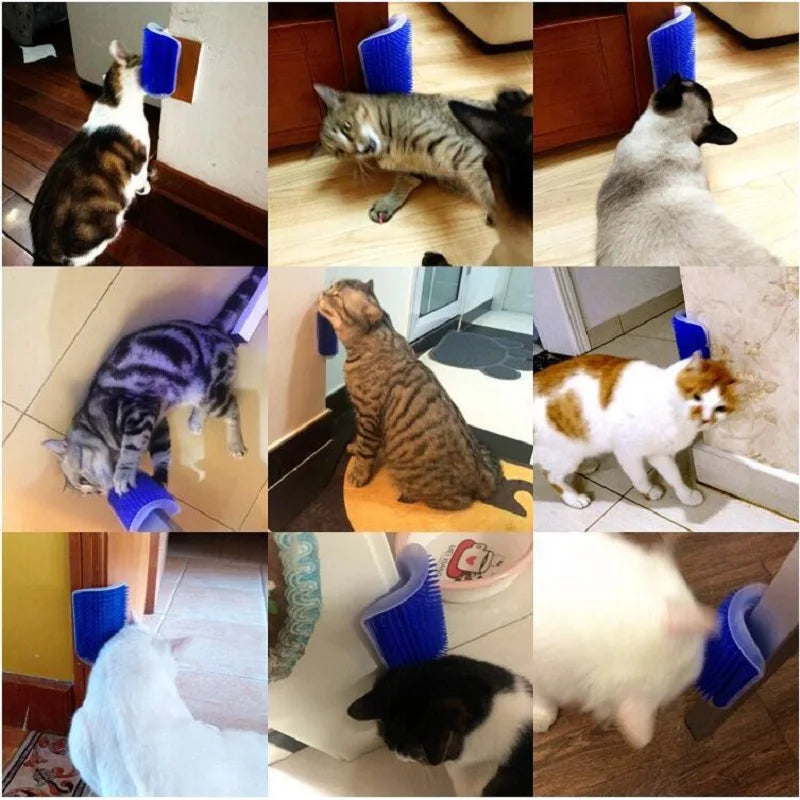 Rascador para gato