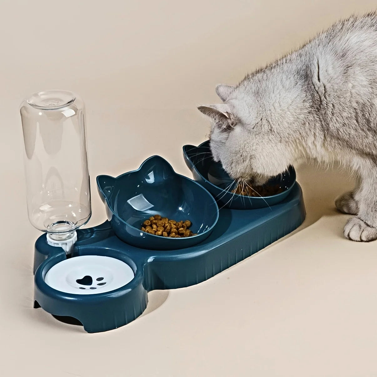 Platos para Gatos