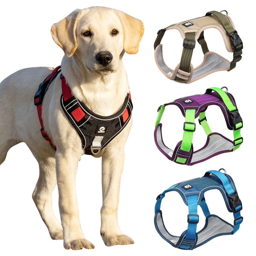 Arnés para perro